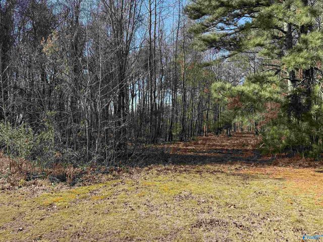 5 Mose Chapel Road, Madison, AL 35758