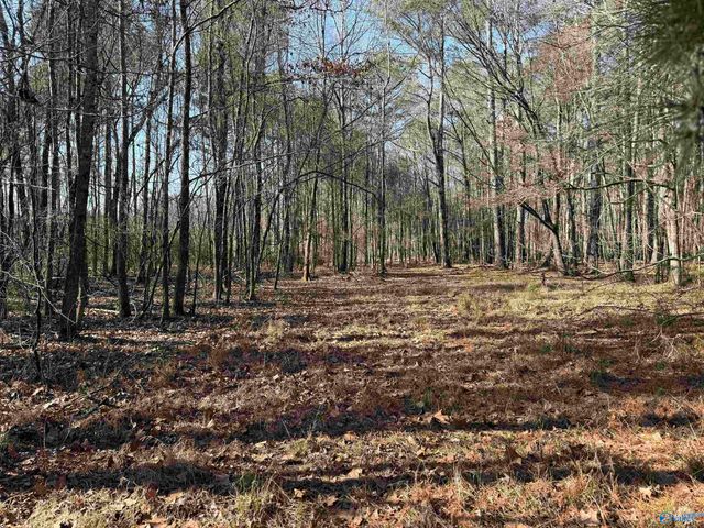 5 Mose Chapel Road, Madison, AL 35758