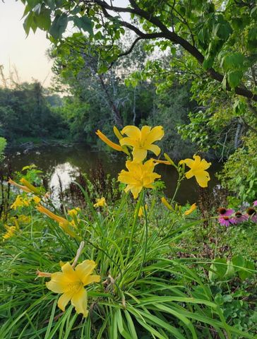 25 S Cherrywood Lane, Valparaiso, IN 46385