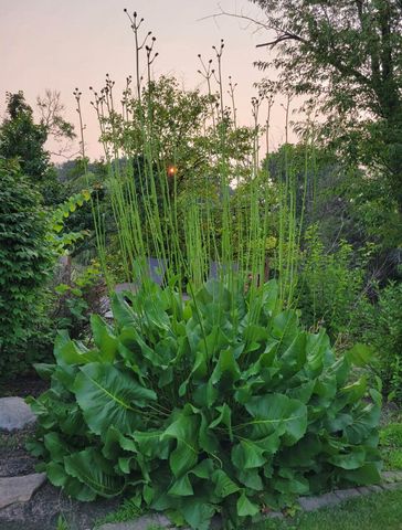 25 S Cherrywood Lane, Valparaiso, IN 46385