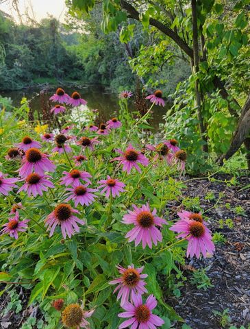 25 S Cherrywood Lane, Valparaiso, IN 46385