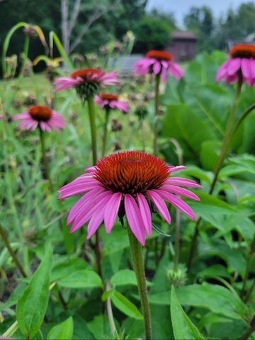 25 S Cherrywood Lane, Valparaiso, IN 46385