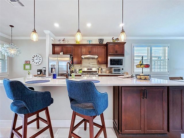 19537 SHIP WHEEL WAY, Land O Lakes, FL 34638