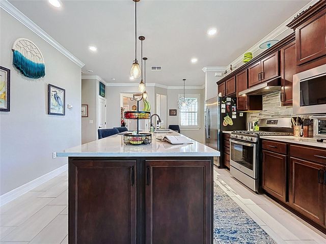 19537 SHIP WHEEL WAY, Land O Lakes, FL 34638