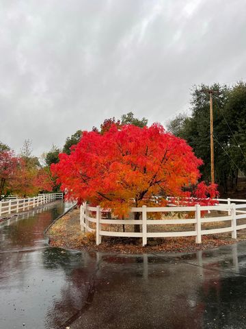 10740 Swede Creek Road, Palo Cedro, CA 96073