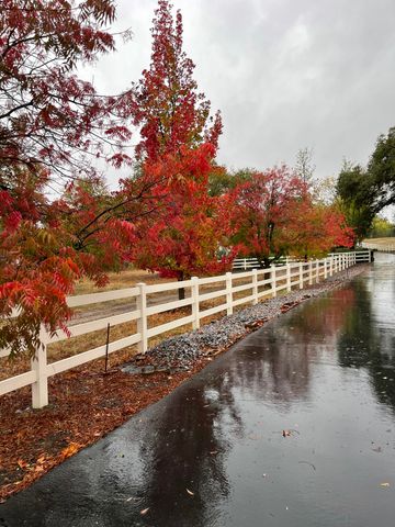 10740 Swede Creek Road, Palo Cedro, CA 96073