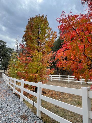 10740 Swede Creek Road, Palo Cedro, CA 96073