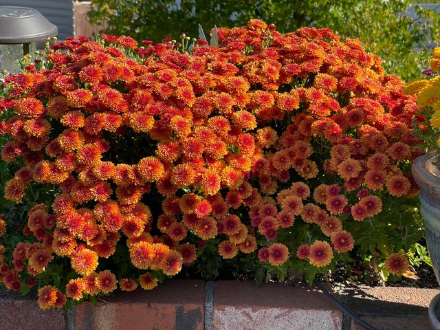 10740 Swede Creek Road, Palo Cedro, CA 96073