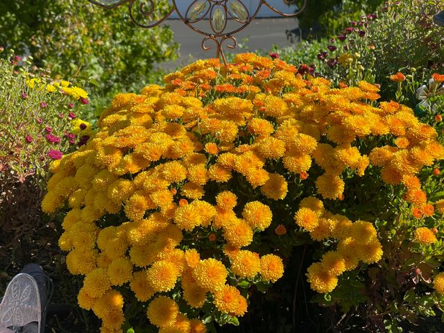 10740 Swede Creek Road, Palo Cedro, CA 96073