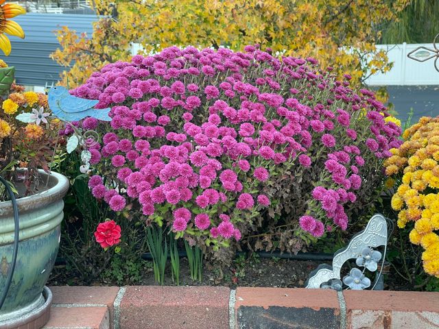 10740 Swede Creek Road, Palo Cedro, CA 96073