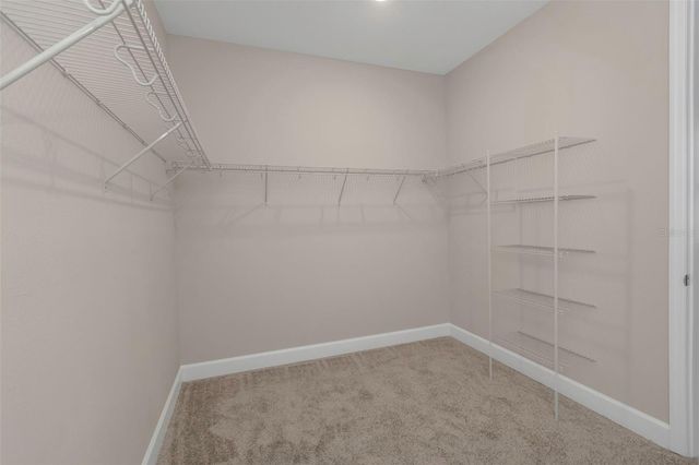 2676 LEAFWING COURT, Palm Harbor, FL 34683