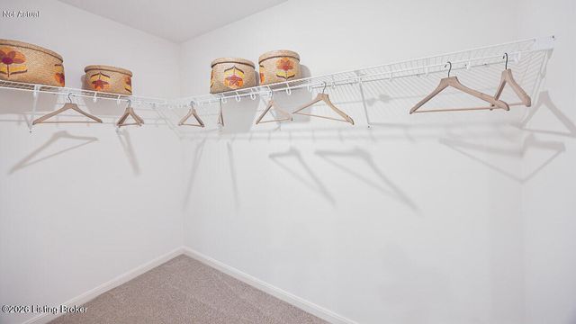 8104 Cedar Pointe Dr, Louisville, KY 40229