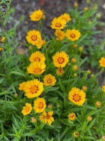 201 Will Street, Kouts, IN 46347