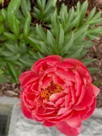 201 Will Street, Kouts, IN 46347