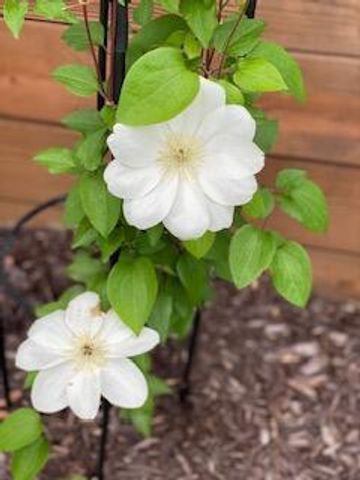 201 Will Street, Kouts, IN 46347