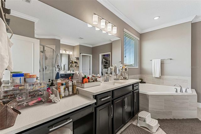 9225 HOLLISTON CREEK PLACE, Winter Garden, FL 34787