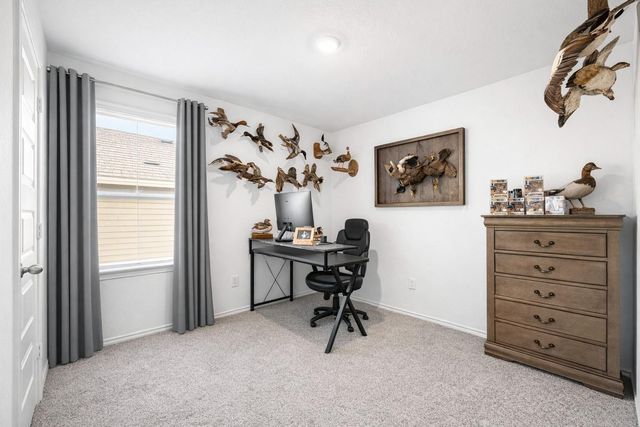 1318 Bison View Lane, Sealy, TX 77474