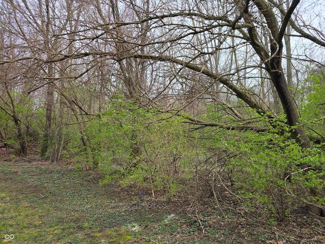 11059 Cornell Avenue, Carmel, IN 46280