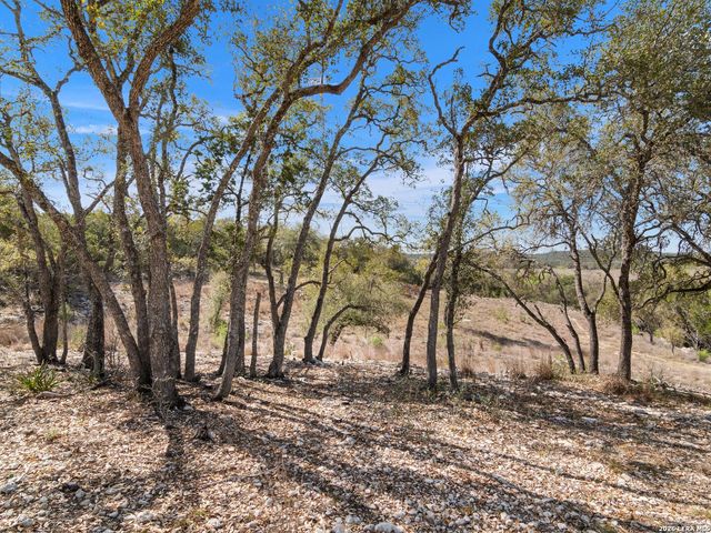 2042 Paradise Pkwy, Canyon Lake, TX 78133
