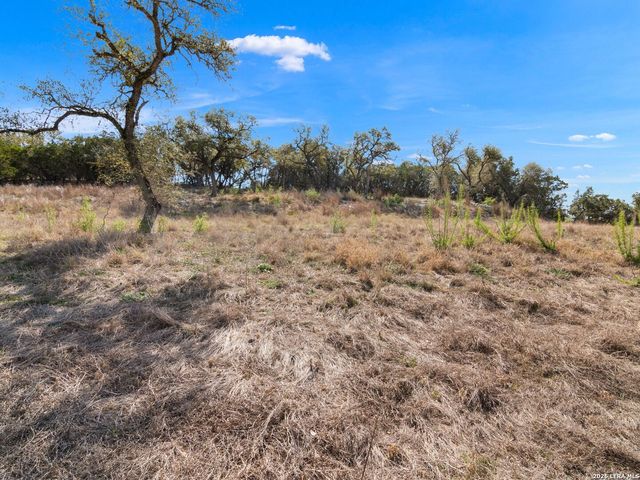 2042 Paradise Pkwy, Canyon Lake, TX 78133