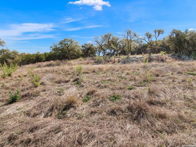2042 Paradise Pkwy, Canyon Lake, TX 78133