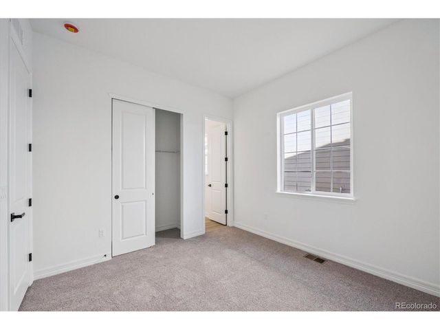 1180 Weller St, Timnath, CO 80547