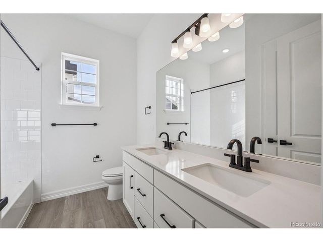 1180 Weller St, Timnath, CO 80547