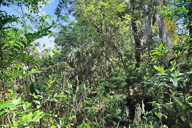 14931 OLD POINTE ROAD, Tampa, FL 33613