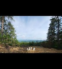 2985 Reese Mountain RD, Elliston, VA 24087