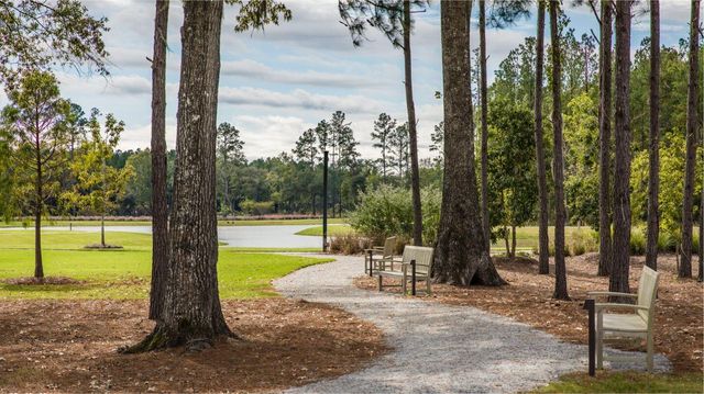 196 Sea Oats St, Summerville, SC 29485