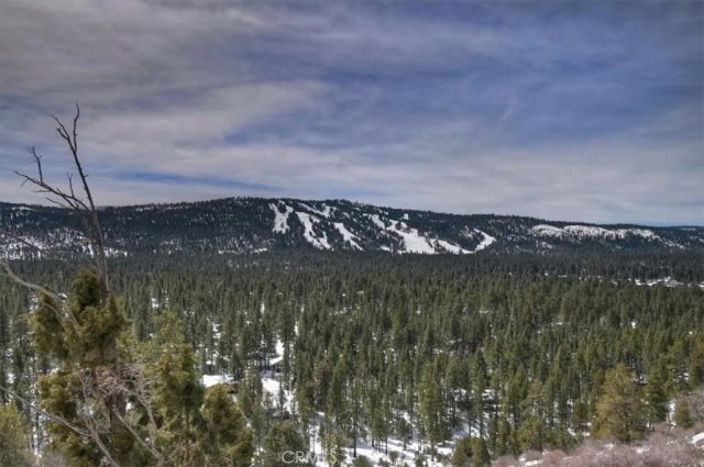 42545 Pegasus, Big Bear Lake, CA 92315