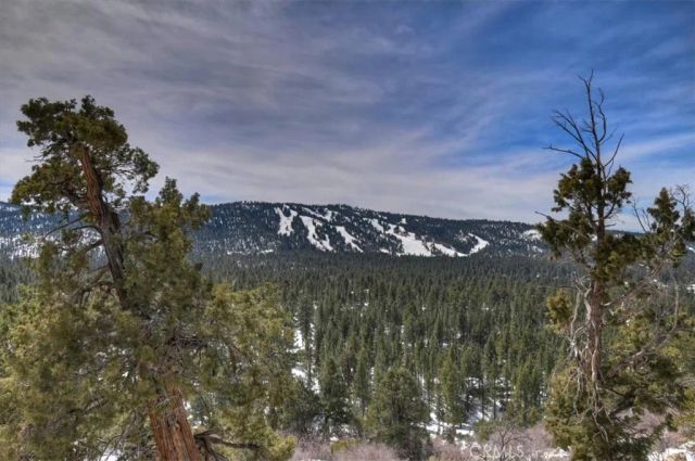 42545 Pegasus, Big Bear Lake, CA 92315