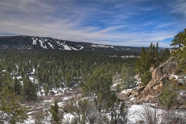 42545 Pegasus, Big Bear Lake, CA 92315