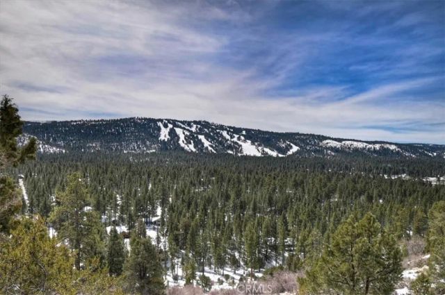 42545 Pegasus, Big Bear Lake, CA 92315