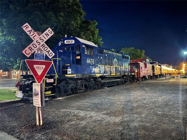 51 Mountain Meadows Dr, Morganton, GA 30560