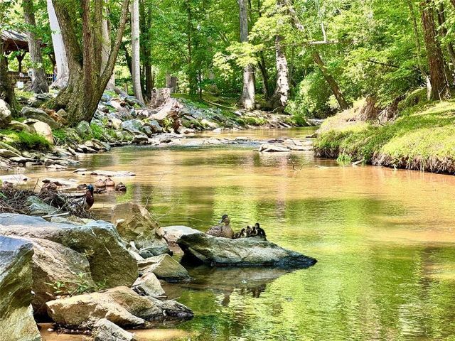 51 Mountain Meadows Dr, Morganton, GA 30560