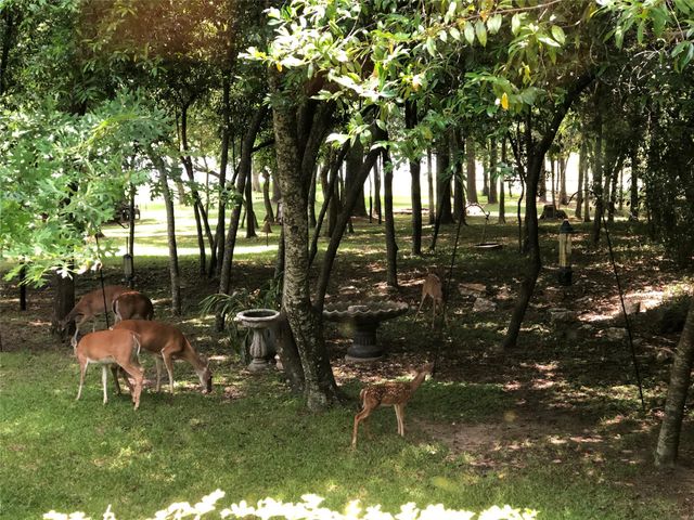 28403 Mendecino Glen Lane, Huffman, TX 77336
