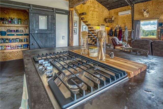 2786 NC 3510, Western Grove, AR 72685