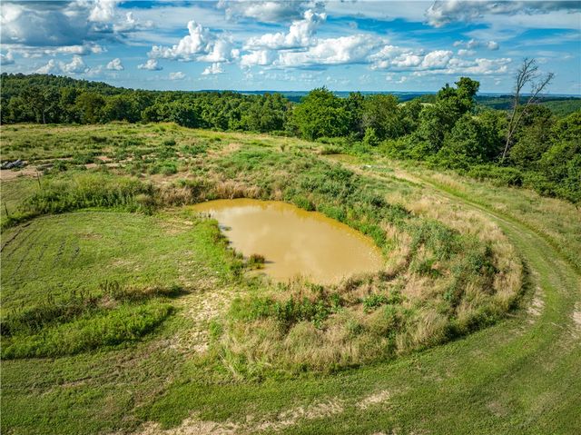 2786 NC 3510, Western Grove, AR 72685