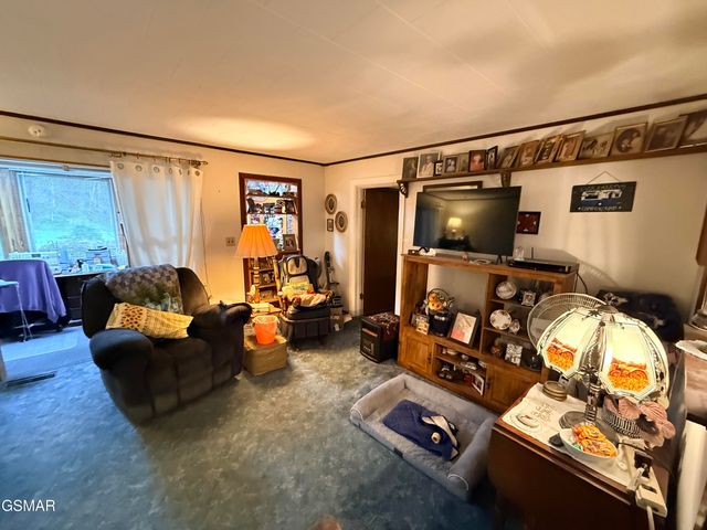 580 Hale Brook Road, Newport, TN 37821