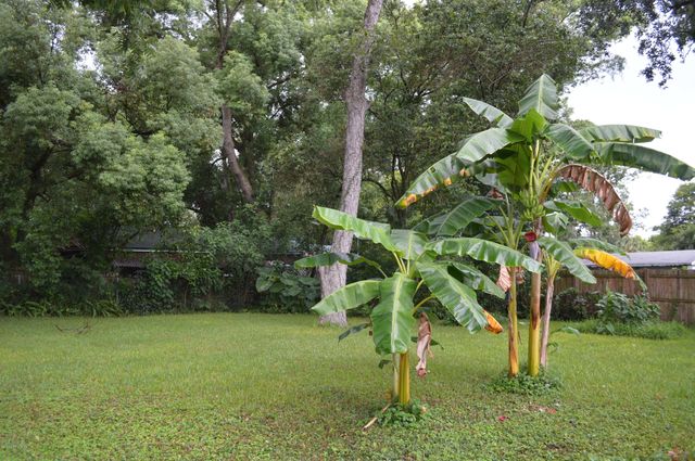 3660 ROSEMARY Street, Jacksonville, FL 32207