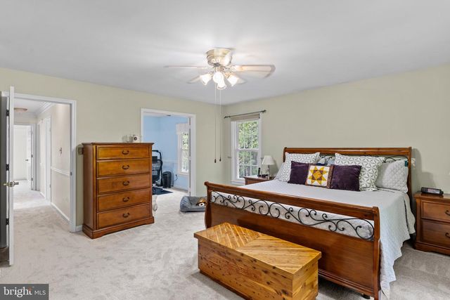 7710 WILBUR CT, Springfield, VA 22153