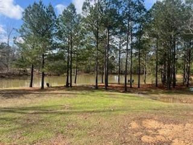 9 Foothills Trail, Sharpsburg, GA 30277