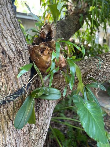 2842 Coconut Ave B, Miami, FL 33133