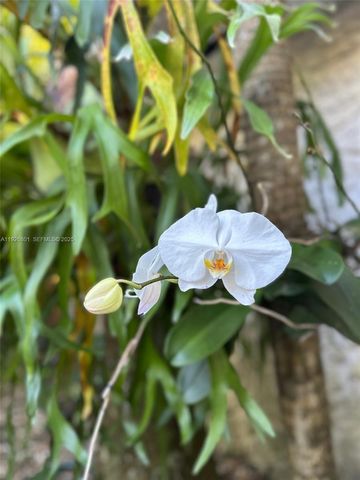 2842 Coconut Ave B, Miami, FL 33133