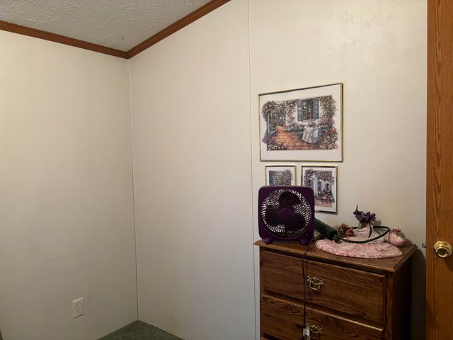 2054 Birchwood Drive, Alger, MI 48610