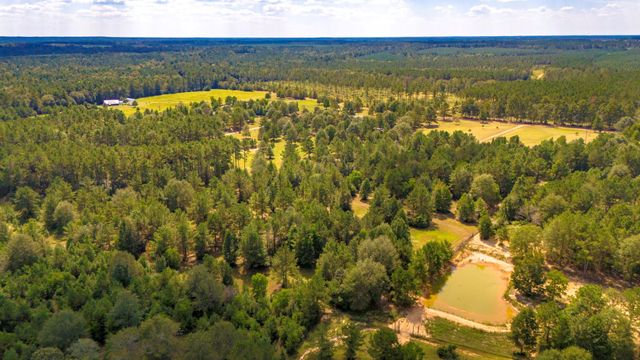 663 Ollie Loop, Livingston, TX 77351