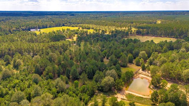 663 Ollie Loop, Livingston, TX 77351