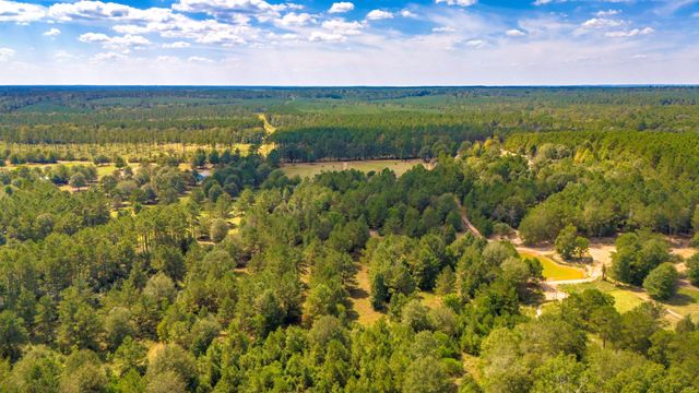 663 Ollie Loop, Livingston, TX 77351