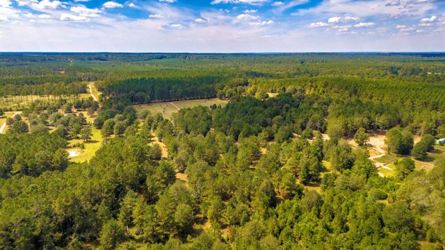 663 Ollie Loop, Livingston, TX 77351